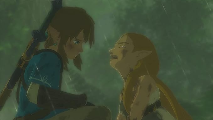 The Legend Of Zelda Breath Of The Wild Nintendo Switch Video Game (Nintendo Switch) - T