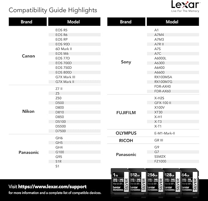 Lexar 128GB Professional Silver SDXC Memory Card, UHS-I, C10, U3, V30, 4K Video, Up to 205/140 MB/s Read/Write, for Professional Photographer, Videographer, Enthusiast (LSDSILV128G-BNNNU)