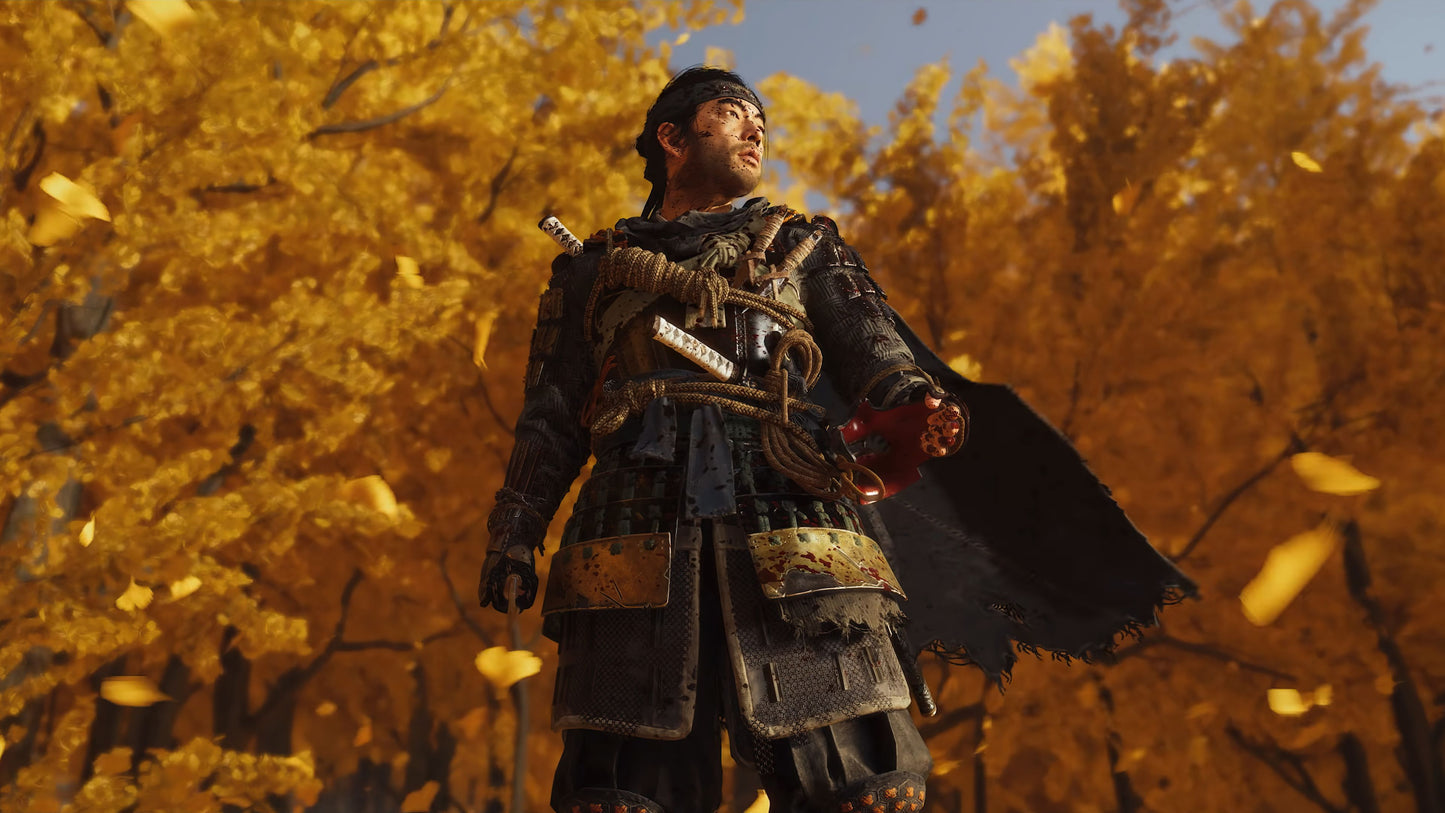 Ghost of Tsushima Director's Cut - T