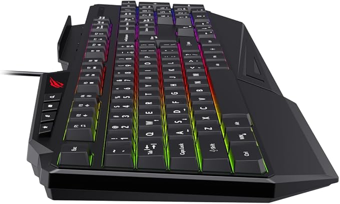 HAVIT KB488L Computer Keyboard 104 Keys with Rainbow Backlit & Wrist Rest (Arabic+English)