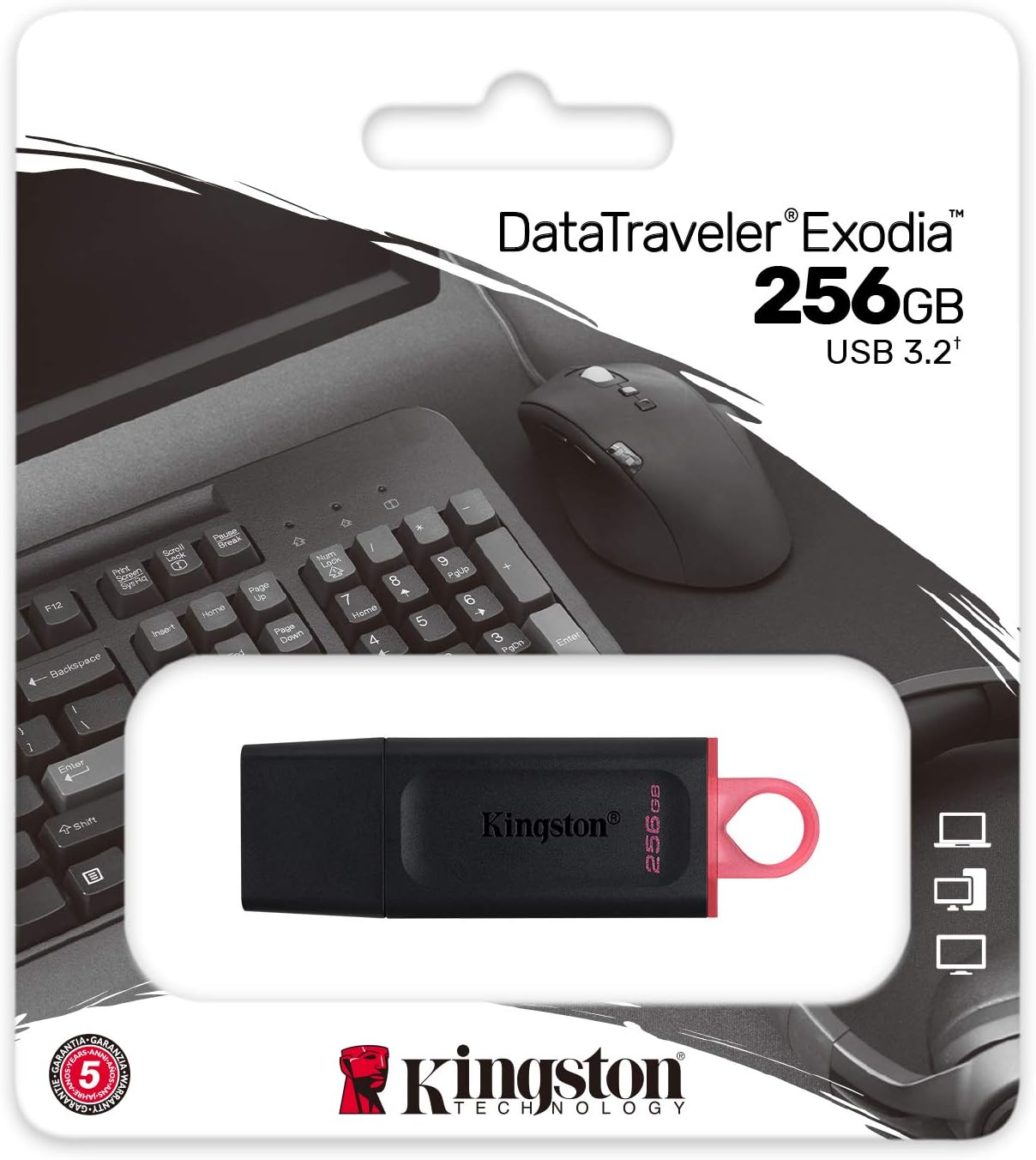 Kingston DataTraveler Exodia 256GB USB 3.2 Flash Drive DTX/256GB