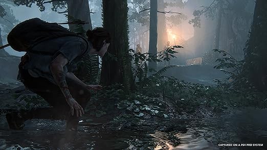 The last of Us 2 PS4